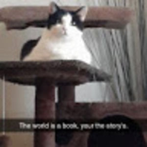 Meet your Posher, Roberto